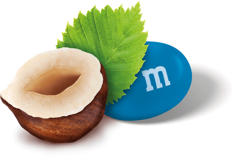 Toolkit – MandMs Hazelnut and Peanut